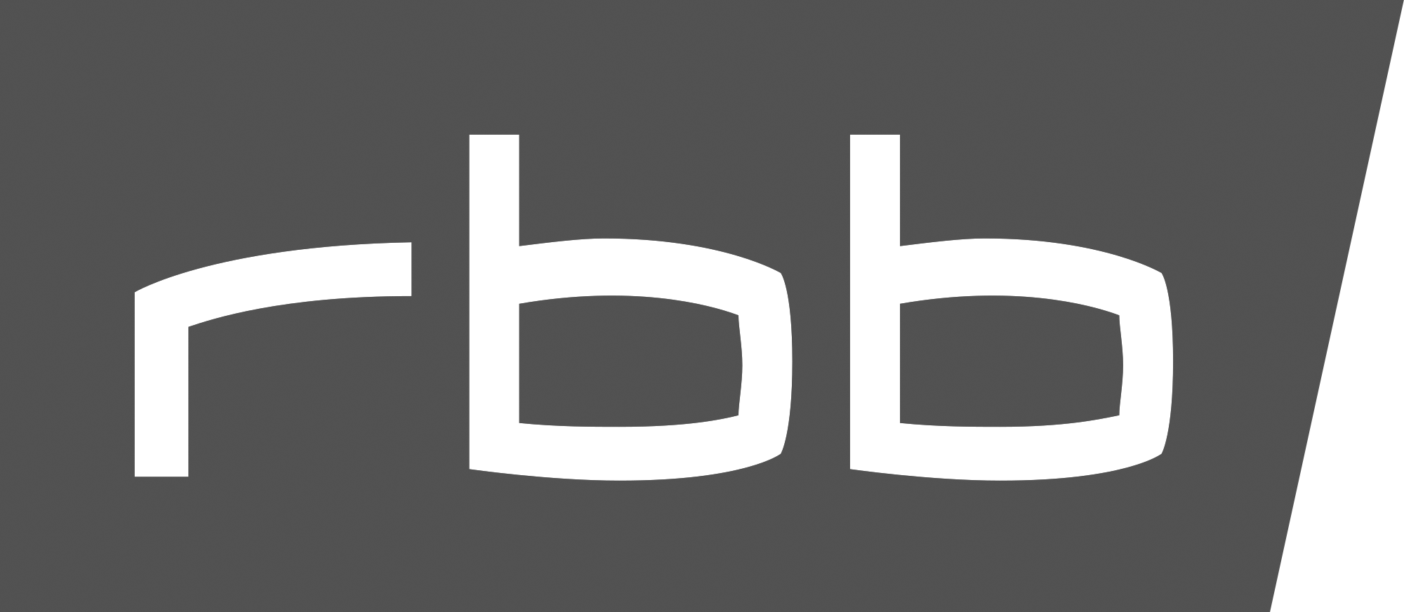 Logo ZIBB on RBB Fernsehen